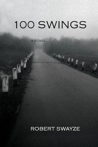 Cover image for 100 Swings