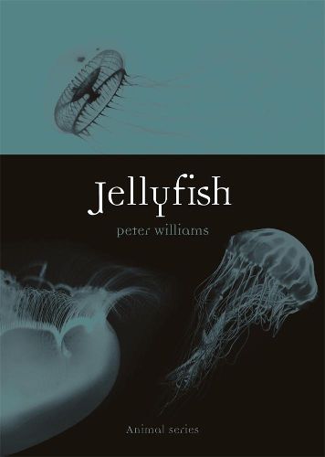 Cover image for Jellyfish