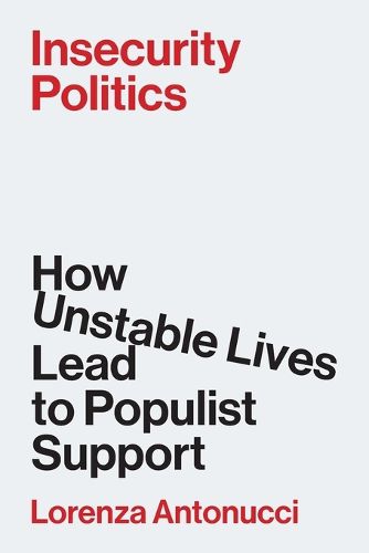 Cover image for Insecurity Politics