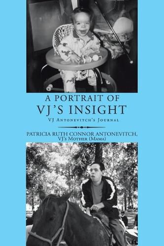 Cover image for A Portrait of Vj's Insight