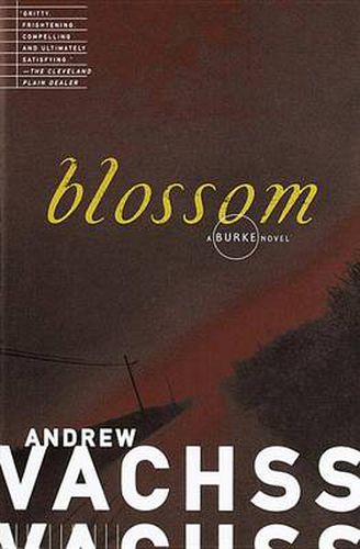 Cover image for Blossom