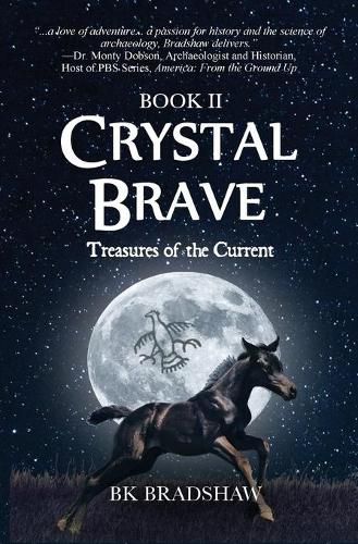 Cover image for Crystal Brave: Treasures of the Current