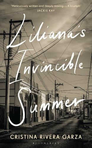 Cover image for Liliana's Invincible Summer