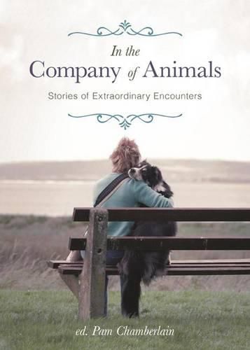 Cover image for In the Company of Animals: Stories of Extraordinary Encounters