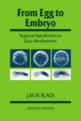 Cover image for From Egg to Embryo: Regional Specification in Early Development