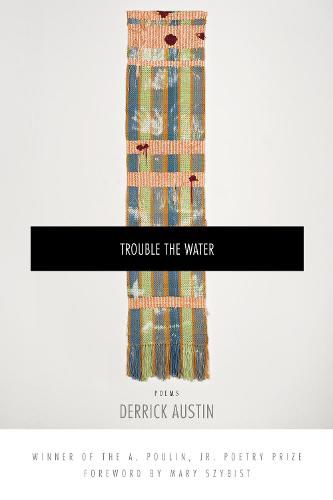 Cover image for Trouble the Water