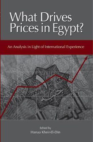 Cover image for What Drives Prices in Egypt?: An Analysis in Light of International Experience