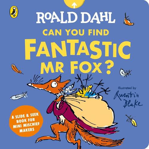 Cover image for Roald Dahl: Can You Find Fantastic Mr Fox?