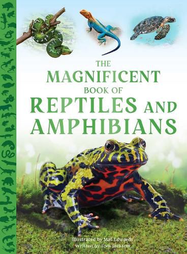 Cover image for The Magnificent Book of Reptiles and Amphibians