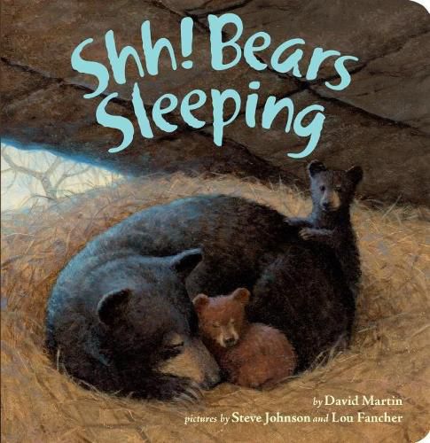 Cover image for Shh! Bears Sleeping