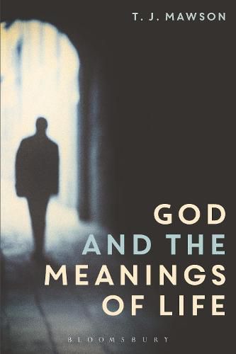 Cover image for God and the Meanings of Life: What God Could and Couldn't Do to Make Our Lives More Meaningful