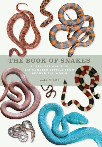 Cover image for The Book of Snakes: A life-size guide to six hundred species from around the world