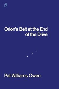 Cover image for Orion's Belt at the End of the Drive