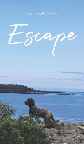 Cover image for Escape