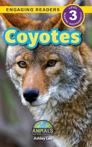 Cover image for Coyotes