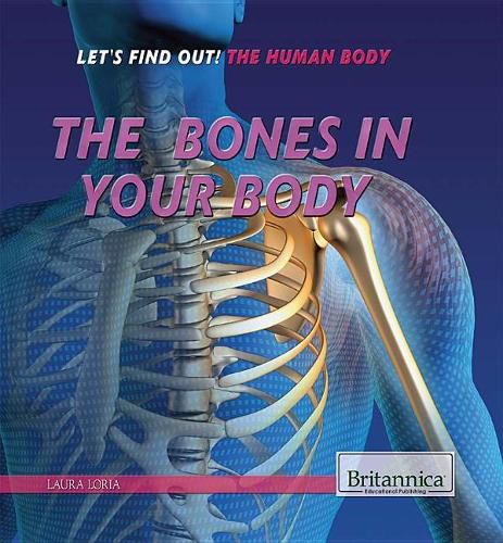 The Bones in Your Body