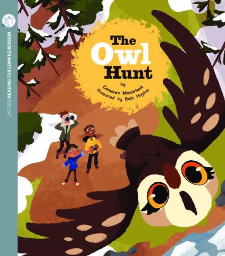 Cover image for The Owl Hunt: Oxford Level 10: Pack of 6