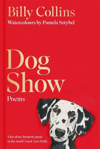 Cover image for Dog Show