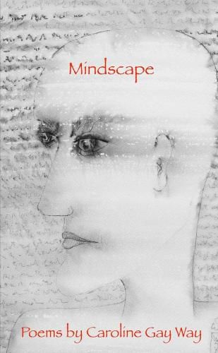 Cover image for Mindscape