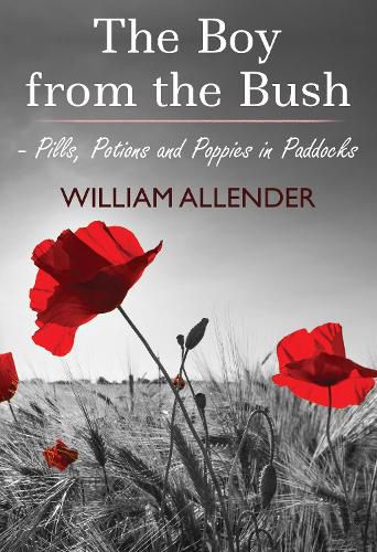 Cover image for The Boy from the Bush - Pills, Potions and Poppies in Paddocks No.2