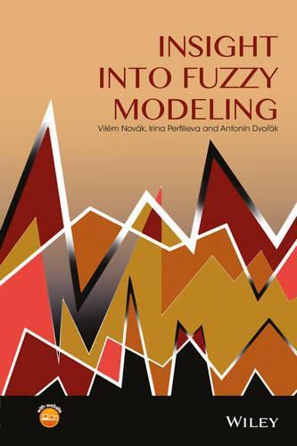 Cover image for Insight into Fuzzy Modeling