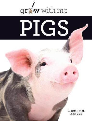 Cover image for Pigs