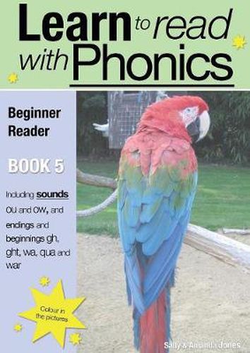 Cover image for Learn to Read with Phonics: Beginner Reader