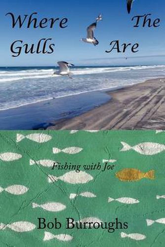 Cover image for Where the Gulls Are