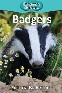 Cover image for Badgers