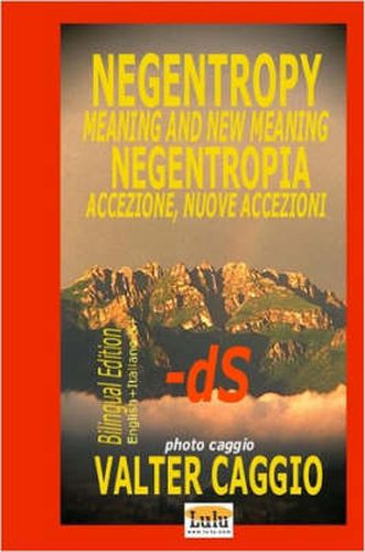 Cover image for NEGENTROPY Meaning and New Meaning NEGENTROPIA Accezione, Nuove Accezioni