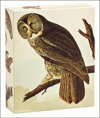 Cover image for Audubon Owls: Quicknotes