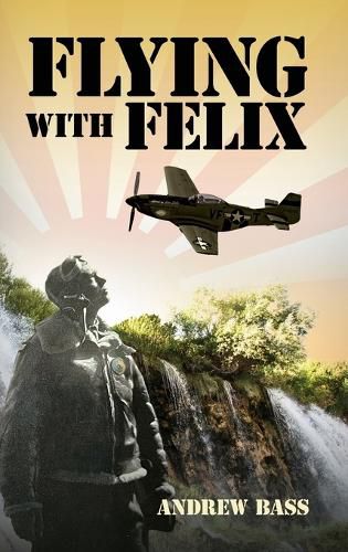 Cover image for Flying with Felix
