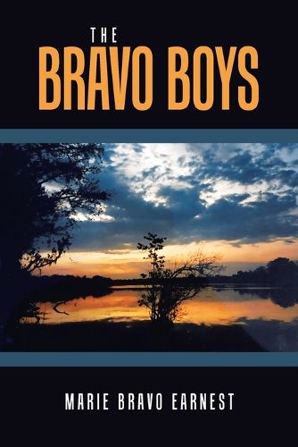Cover image for The Bravo Boys