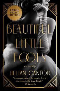 Cover image for Beautiful Little Fools