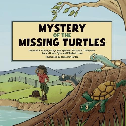 Cover image for Mystery of the Missing Turtles