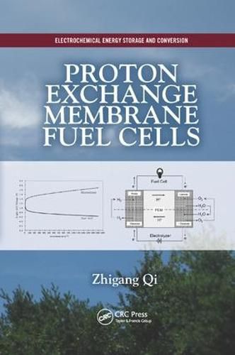 Cover image for Proton Exchange Membrane Fuel Cells