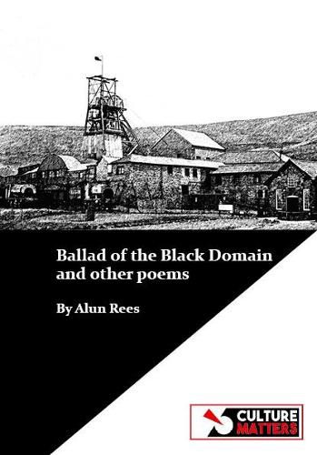 Cover image for Ballad of the Black Domain