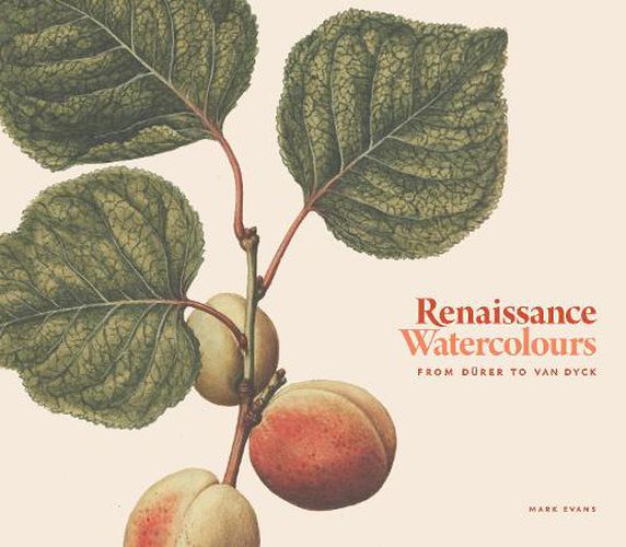 Cover image for Renaissance Watercolours: From Durer to Van Dyck