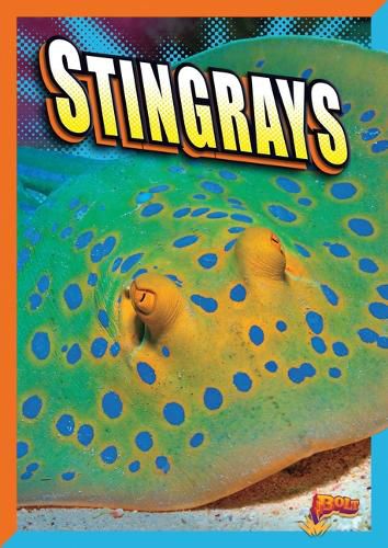 Cover image for Stingrays