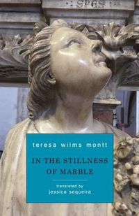 Cover image for In the Stillness of Marble