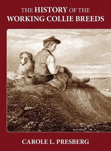 Cover image for The History of the Working Collie Breeds