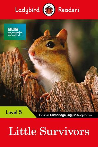 Cover image for Ladybird Readers Level 5 - BBC Earth - Little Survivors (ELT Graded Reader)