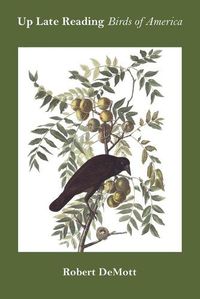 Cover image for Up Late Reading Birds of America