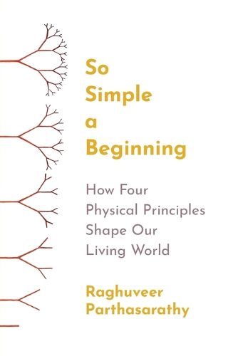 Cover image for So Simple a Beginning