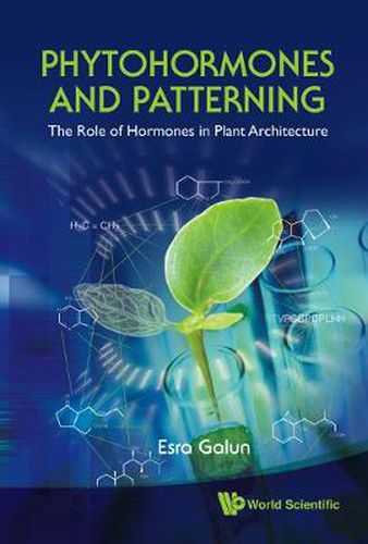 Cover image for Phytohormones And Patterning: The Role Of Hormones In Plant Architecture