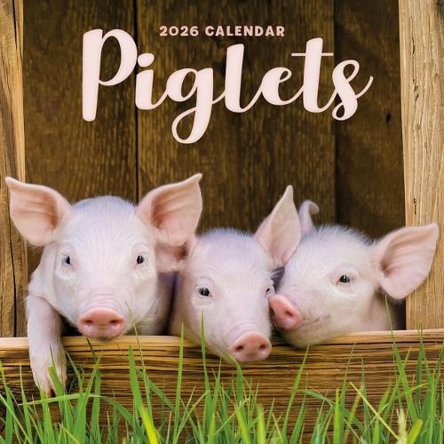 Cover image for 2026 Piglets Mini Wall Calendar