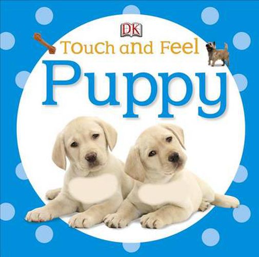 Cover image for Touch and Feel: Puppy