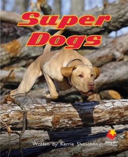 Cover image for Super Dogs