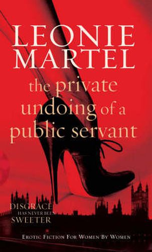 Cover image for The Private Undoing of a Public Servant