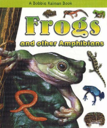 Cover image for Frogs and Other Amphibians